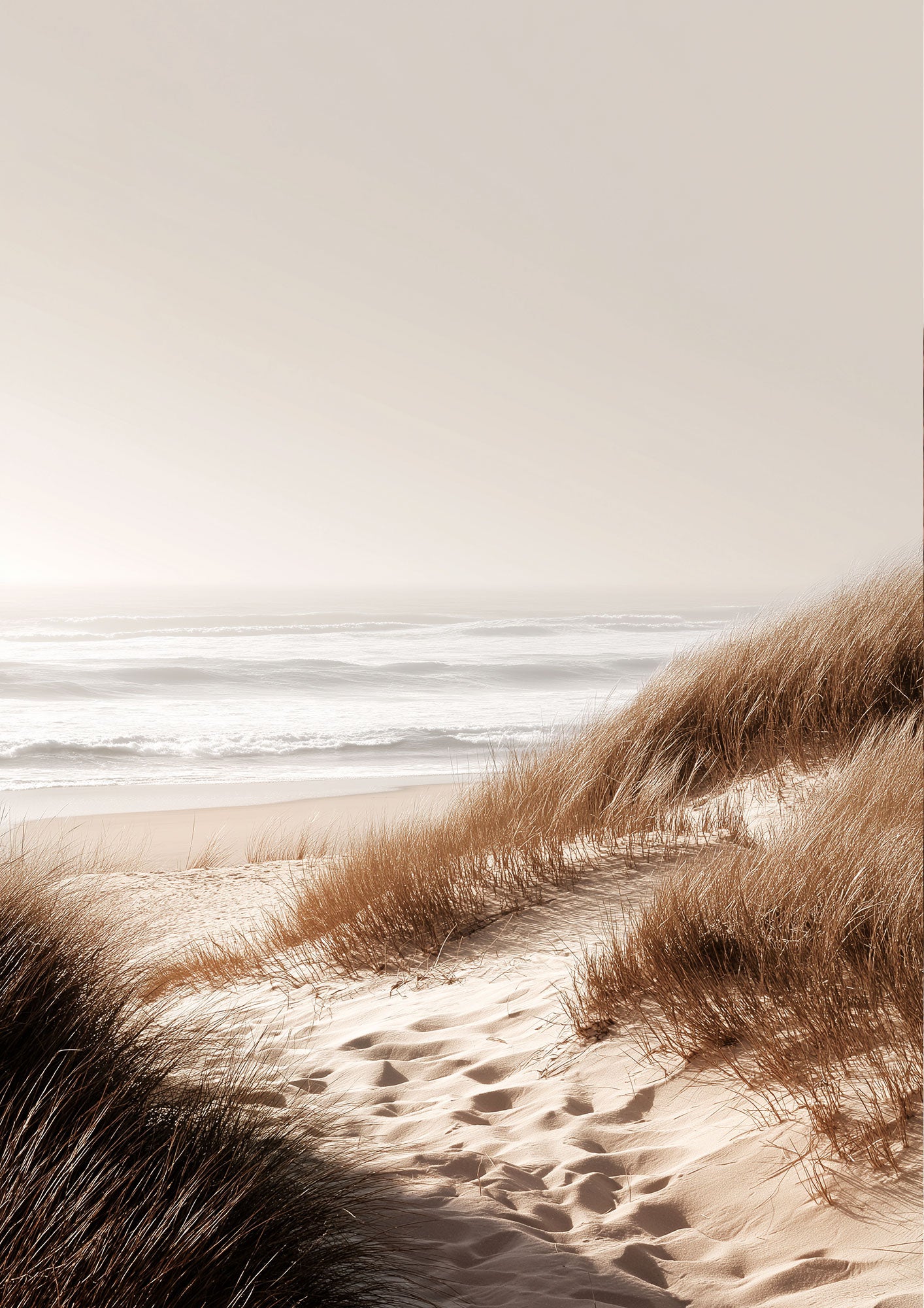 Dune