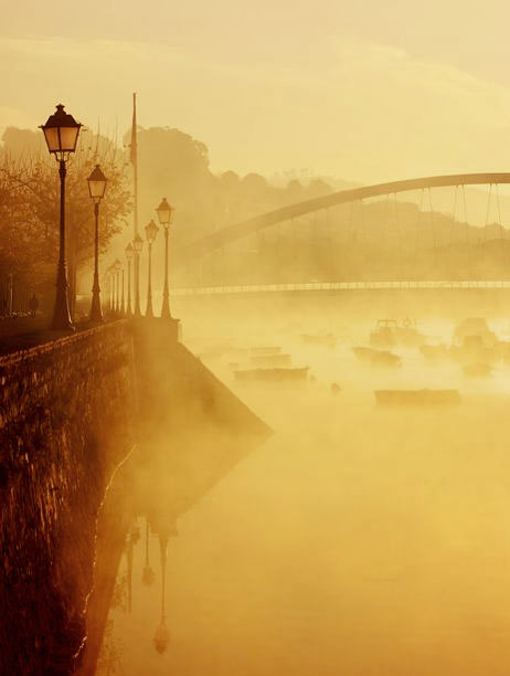 Golden Misty Mornings