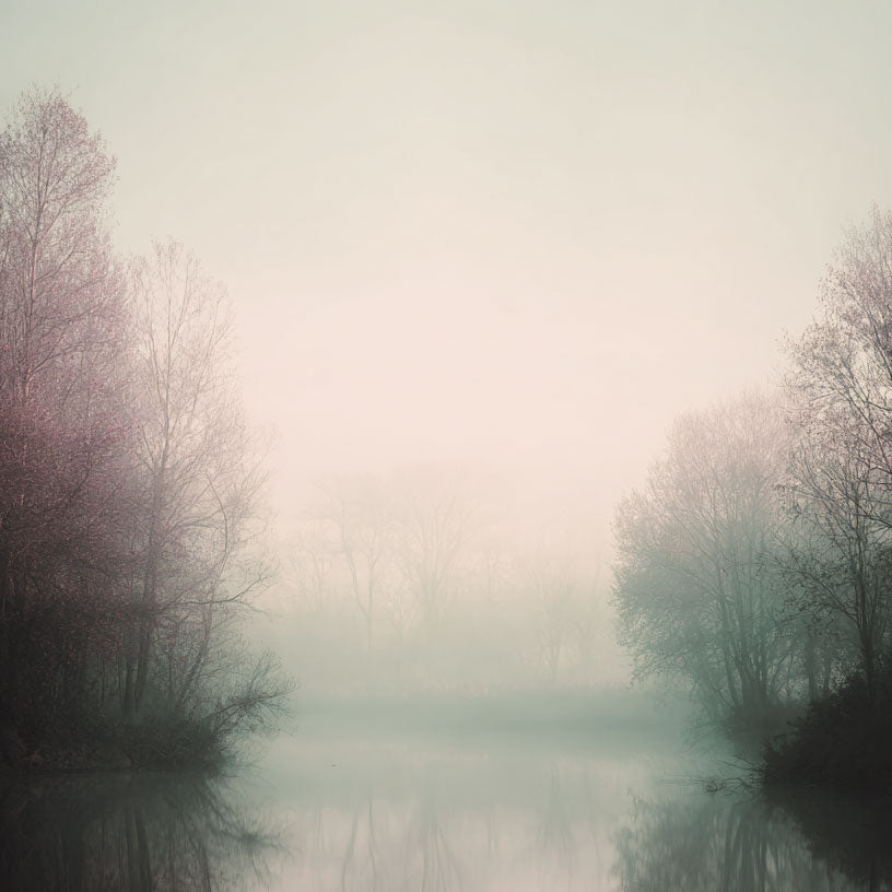 Hazy Shade of Winter