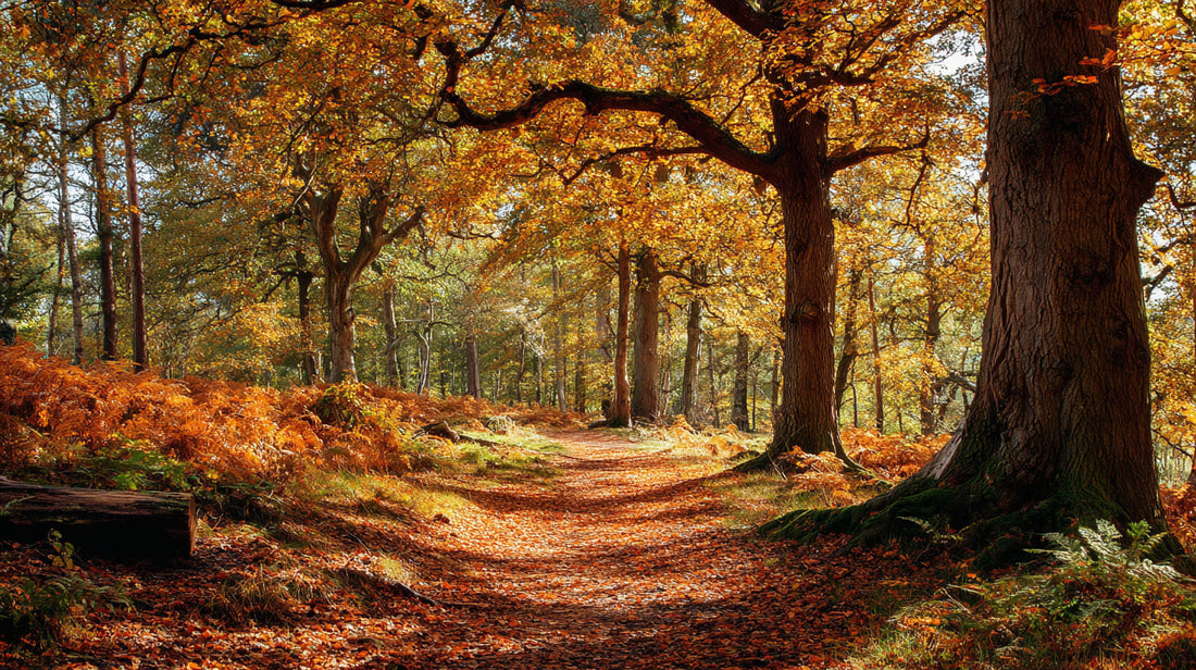 Autumnal