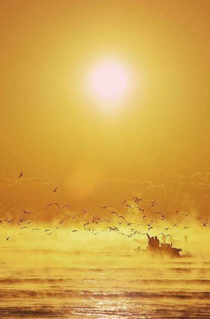 Golden Geese