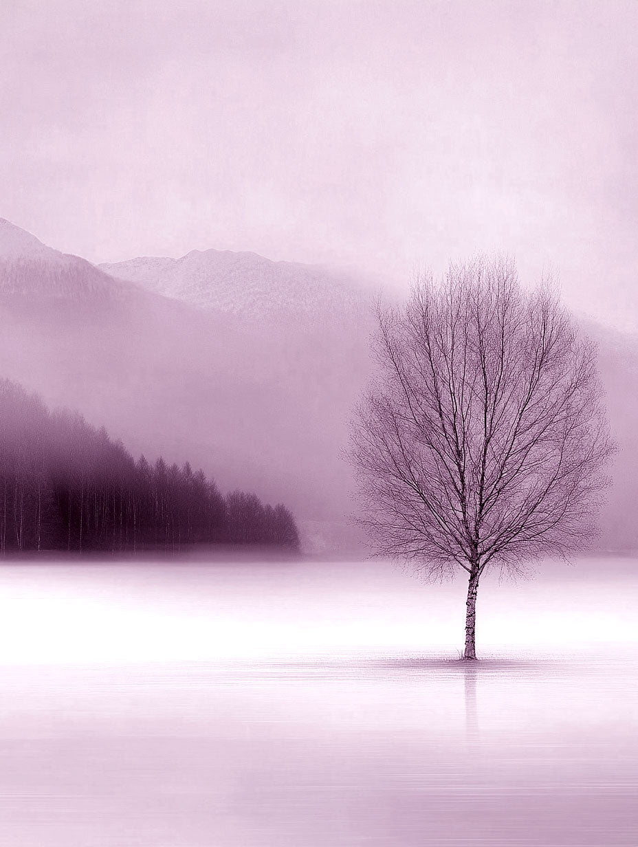 Mists of Silence