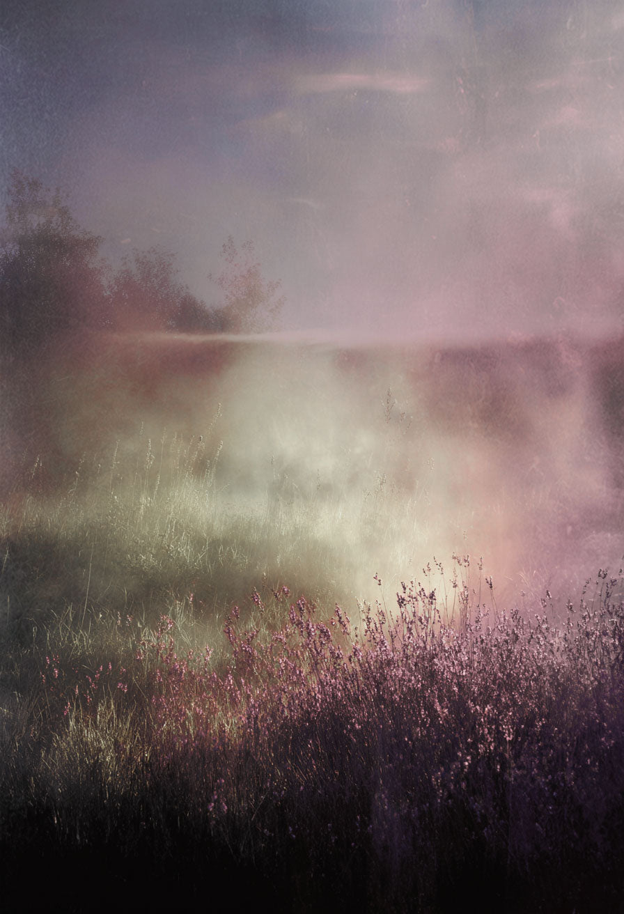 Morning Mist