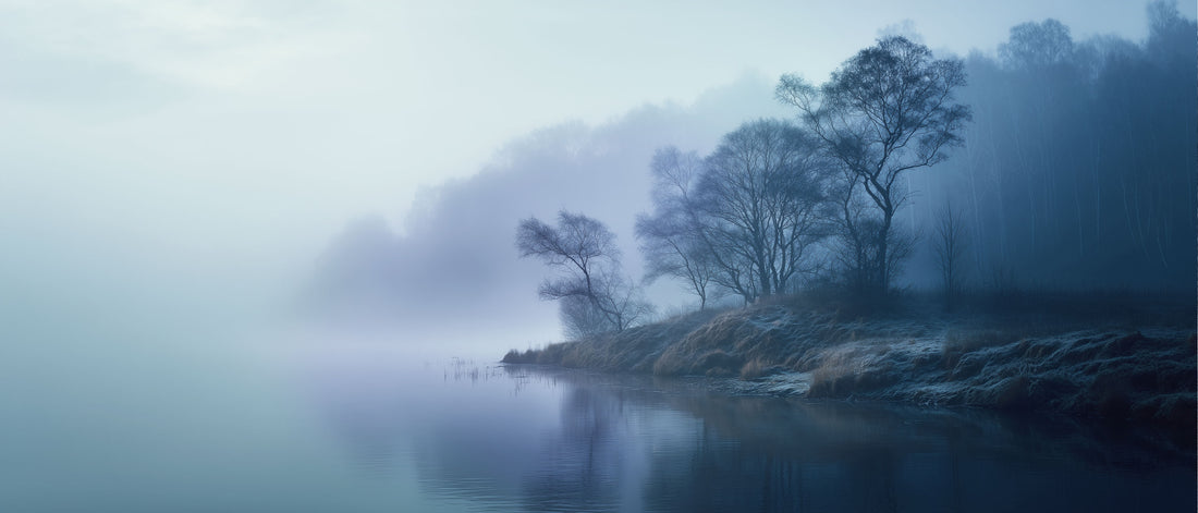 Quiet Reflections