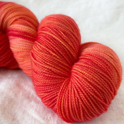 Red Poppy