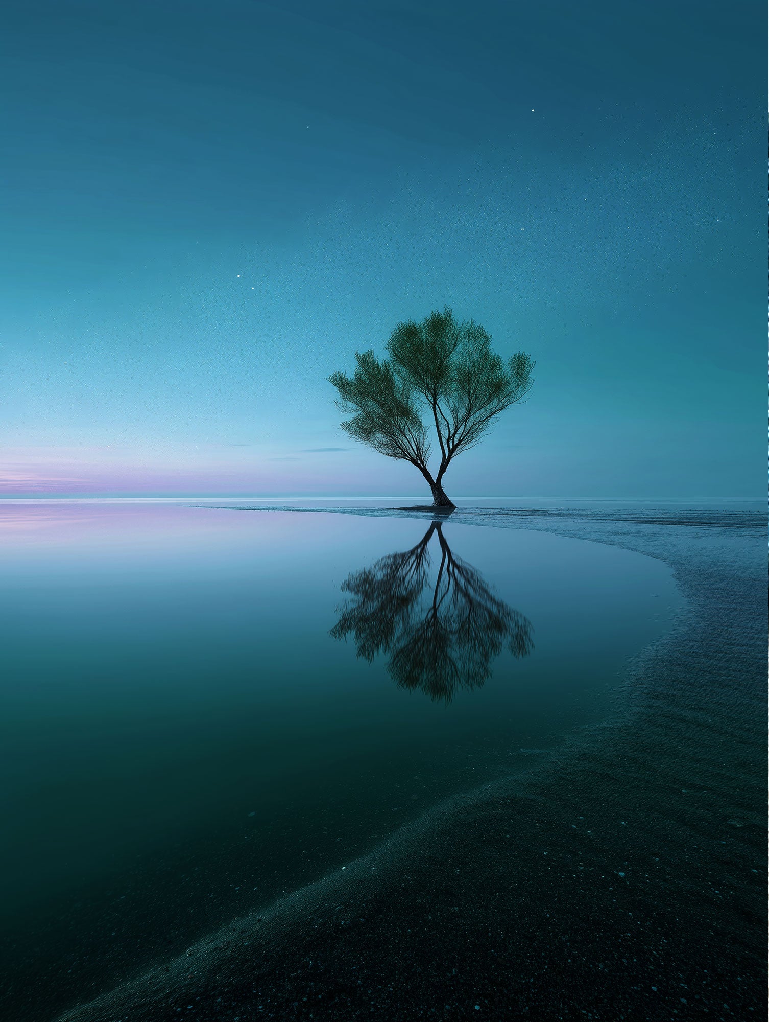 Reverie