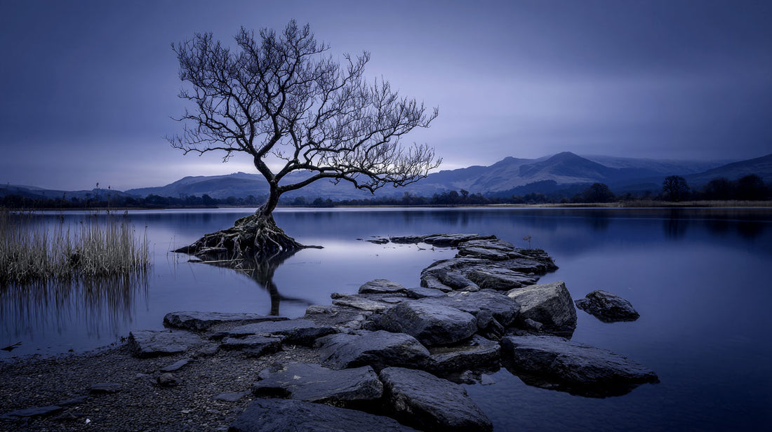 Solitude