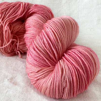 Spring Roses