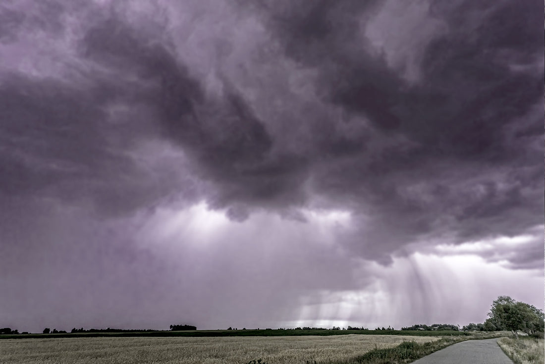 Summer Storms