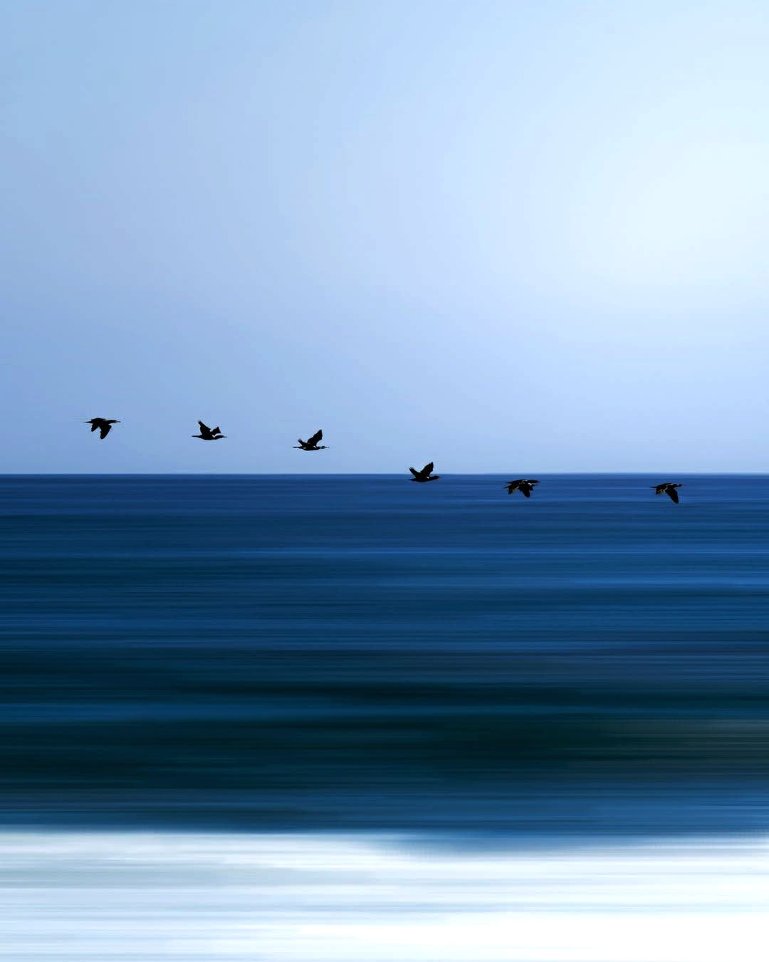 Taking Flight
