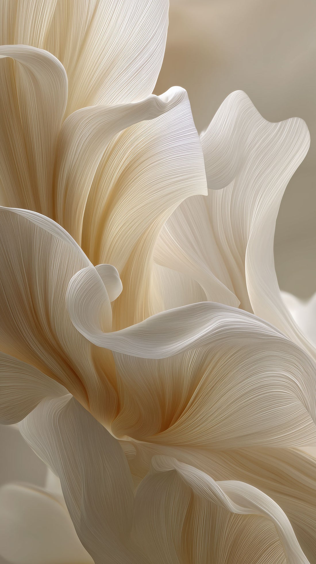 The Abstraction of Petals