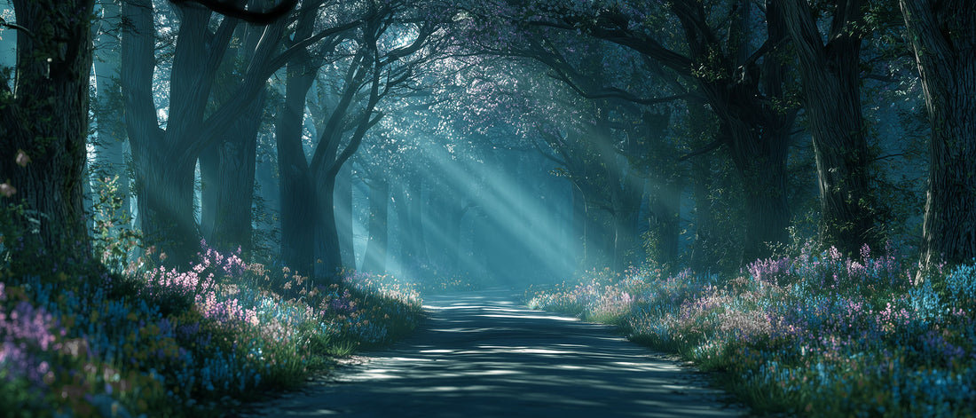 The Sleepy Glade